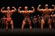 Masters Olympia 2012