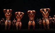 Masters Olympia 2012