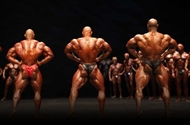 Masters Olympia 2012