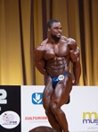 El Mr Europe PRO 2012