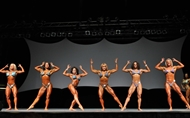 Optimum Nutrition IFBB PRO Physique 2013