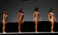 Optimum Nutrition IFBB PRO Physique 2013