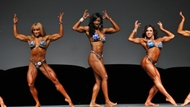 Optimum Nutrition IFBB PRO Physique 2013