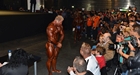 La Fiesta del Arnold Classic Europe 2013