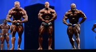 El Arnold Europe PRO 2013