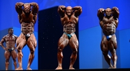 El Arnold Europe PRO 2013