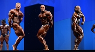 El Arnold Europe PRO 2013