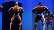 El Arnold Europe PRO 2013