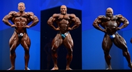 El Arnold Europe PRO 2013