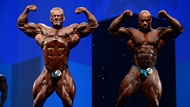 El Arnold Europe PRO 2013