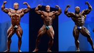 El Arnold Europe PRO 2013