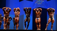 El Arnold Europe PRO 2013