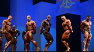 El Arnold Europe PRO 2013