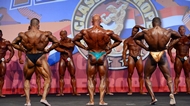 El Arnold Europe Amateur 2013