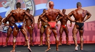 El Arnold Europe Amateur 2013