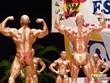 Finales - Campeonato de España AEFF - Torremolinos 2011