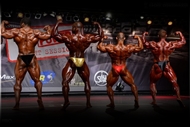 Lo Mejor de la FIBO POWER IFBB PRO 2013 por MoreMuscle.de