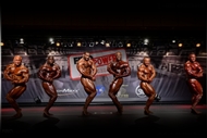 Lo Mejor de la FIBO POWER IFBB PRO 2013 por MoreMuscle.de