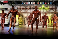 El Desafío Olimp en la FIBO 2013 por MoreMuscle.de