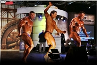 El Desafío Olimp en la FIBO 2013 por MoreMuscle.de