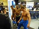 Fibo 2010