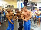 Fibo 2010