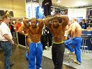 Fibo 2010