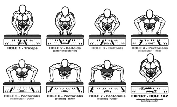 Flexiones