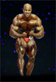 Mr.Olympia