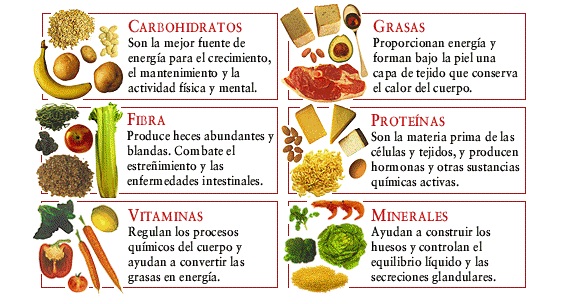 Alimentos Alcalinos