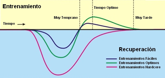 Tiempo de Entrenamiento