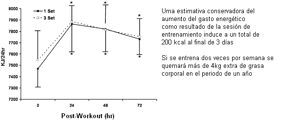 Gasto Energético