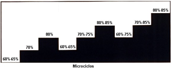 Microciclos