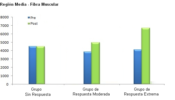 Respuesta de las Fibras Musculares