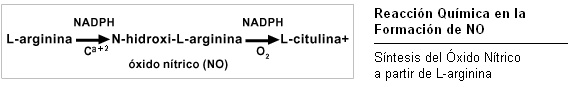 Síntesis de NO