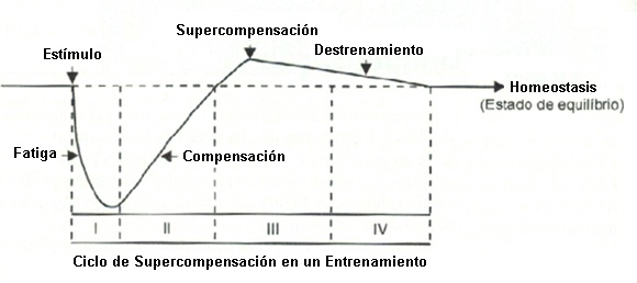 Supercompensación