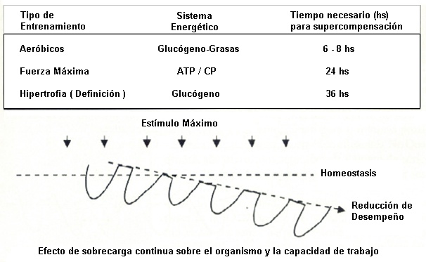 Supercompensación