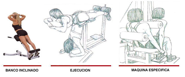 Extensión del tronco