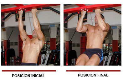 Tracción en barra fija en supinación