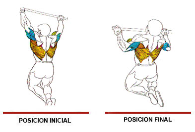 Tracción en barra fija