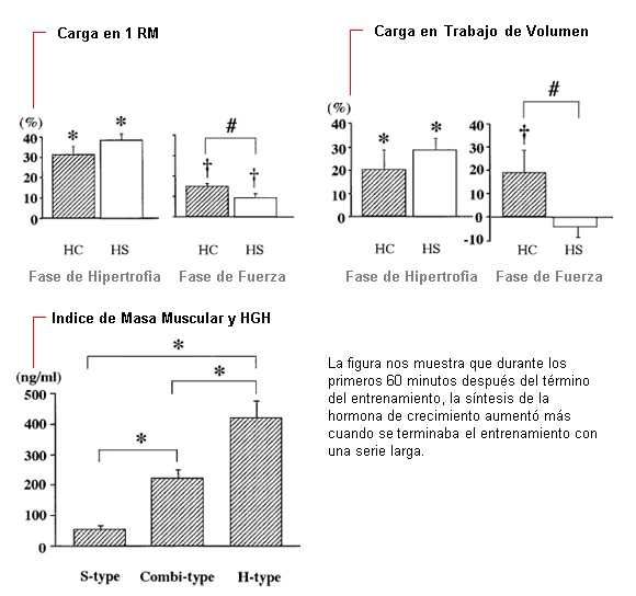 Fases de Trabajo