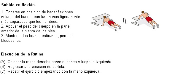 Opción de Flexiones